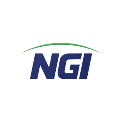 NGI insurance