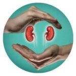Kidney function test package at Shifa Al Jazeera Medical Centre in Sharjah