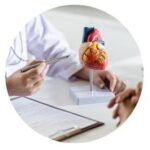 Whole Body Premium test Package in Sharjah